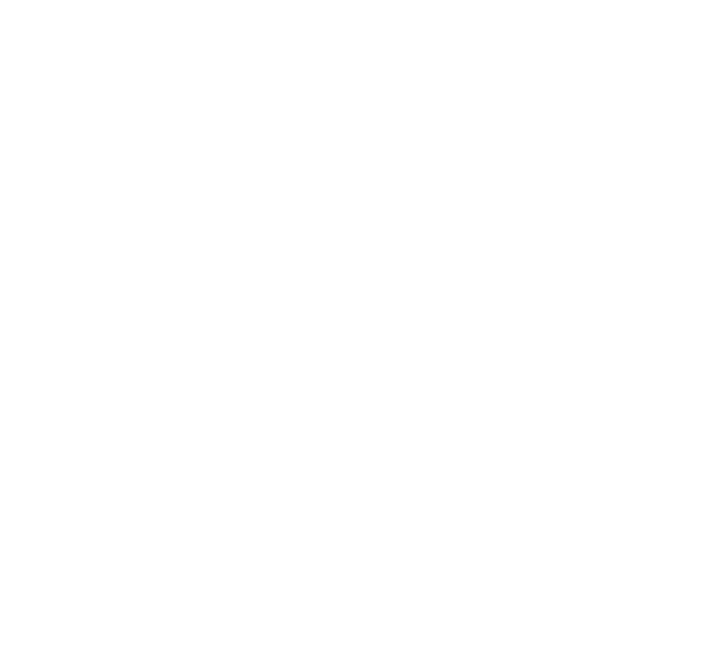 Picko Logo_No Back_White